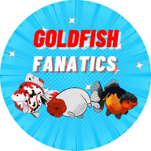Goldfish Fanatics